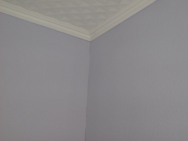 j001.jpg