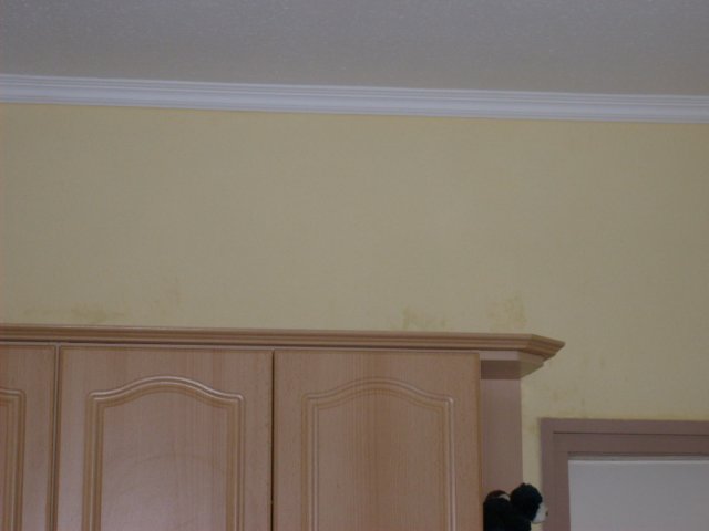 j002.jpg